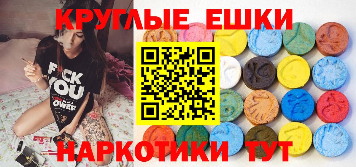 Ecstasy Philipp Plein Сокол