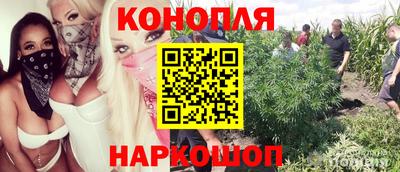spice Партизанск