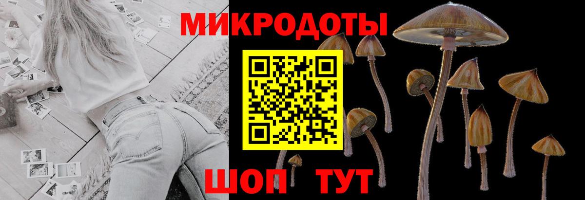 Псилоцибиновые грибы Cubensis  Псилоцибиновые грибы мицелий  Сокол  Вход с VPN 