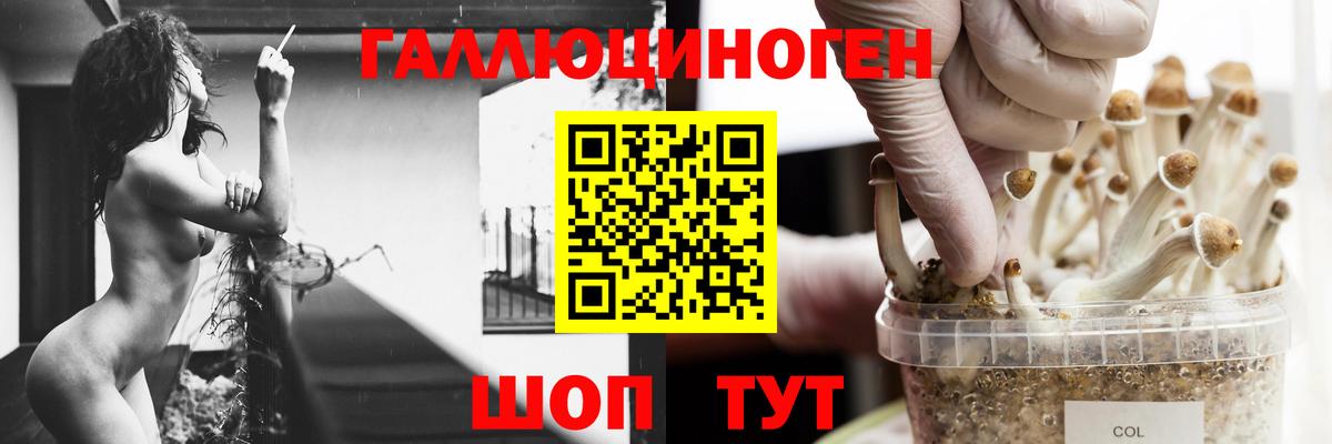 Галлюциногенные грибы мухоморы Сокол